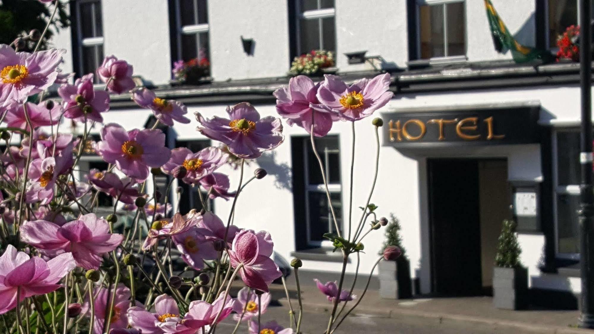 Nesbitt Arms Boutique Hotel Ardara Eksteriør billede